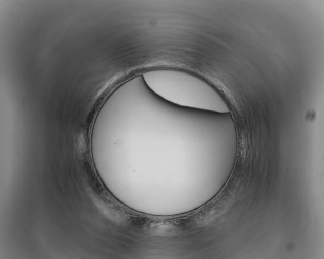 X0000095890208200801110836