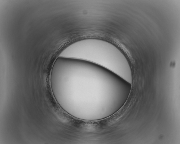 X0000095890209200801110836