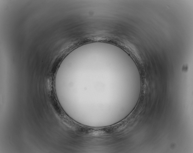 X0000095890210200801110836