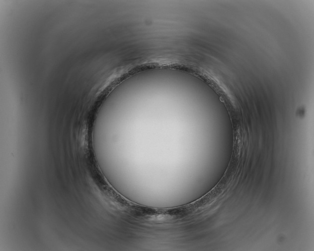 X0000095890212200801110836