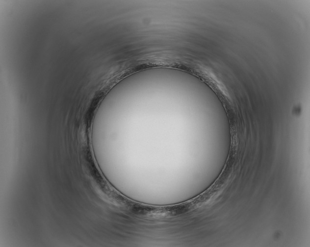 X0000095890213200801110836
