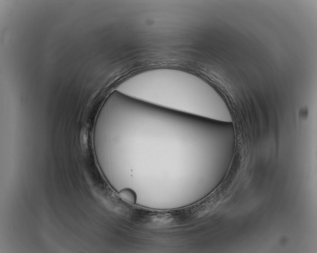 X0000095890214200801110836