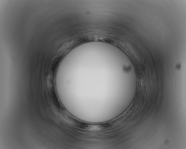 X0000095890218200801110836