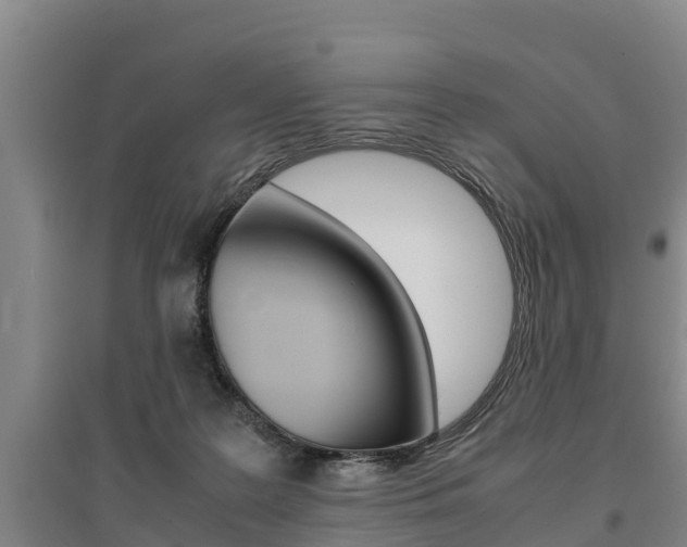 X0000095890219200801110836