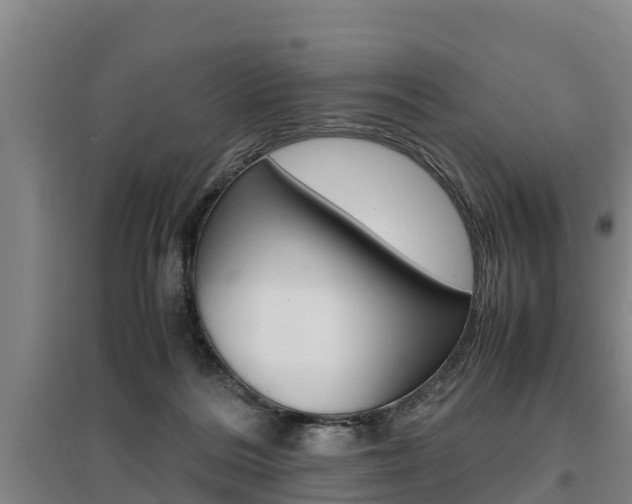 X0000095890220200801110836