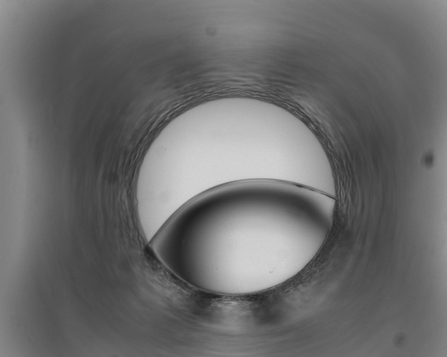 X0000095890221200801110836