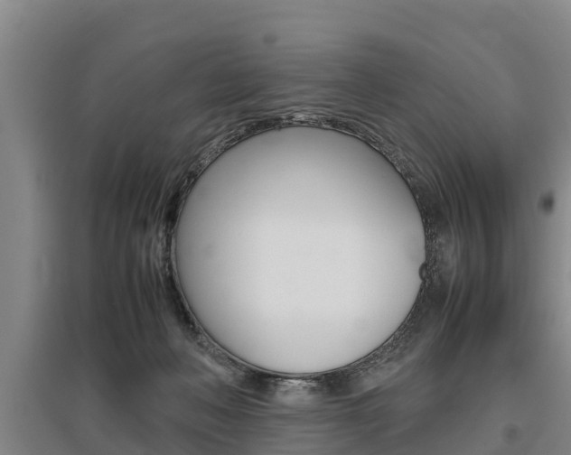 X0000095890222200801110836