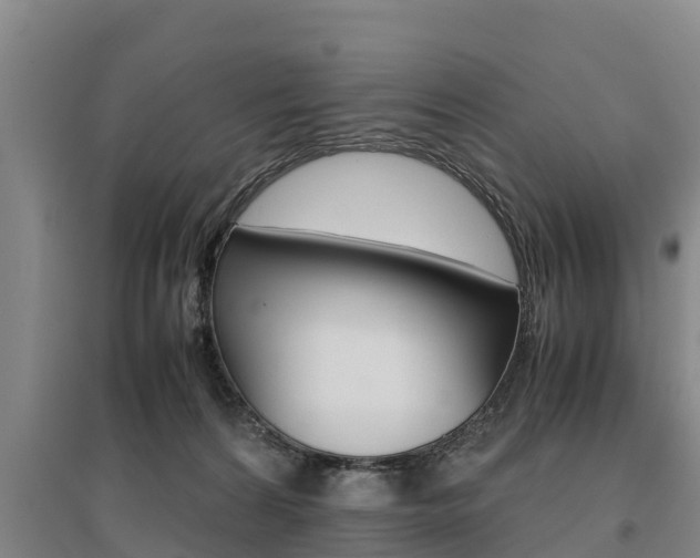 X0000095890224200801110836