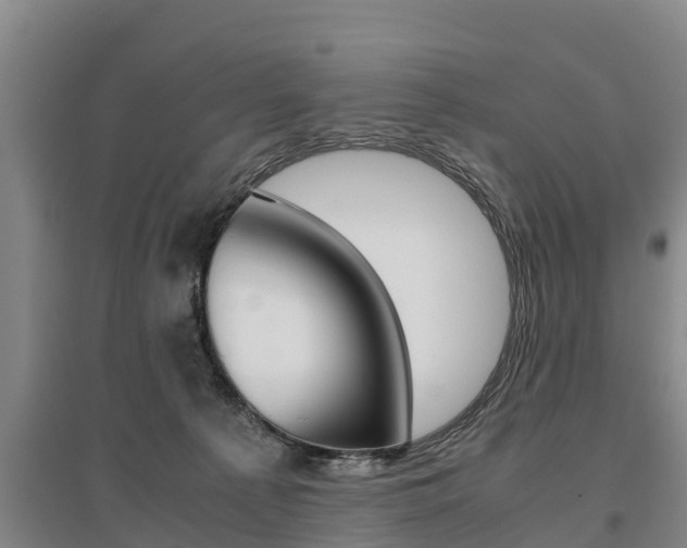 X0000095890225200801110836