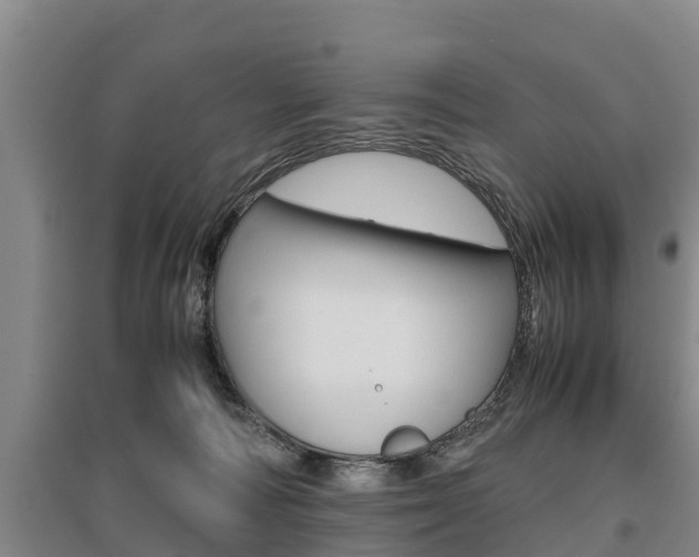 X0000095890226200801110836