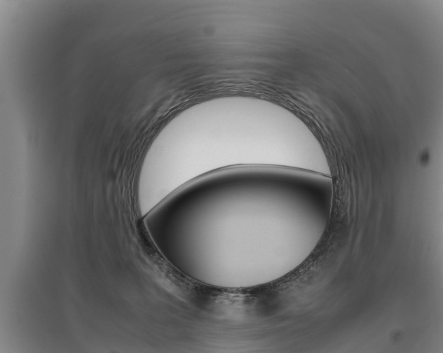X0000095890227200801110836