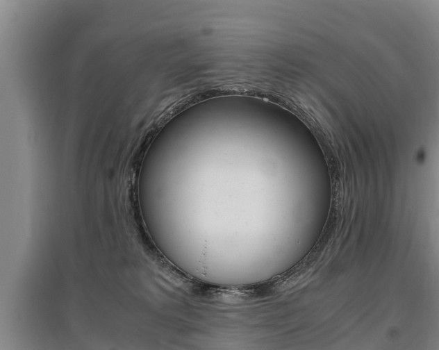 X0000095890229200801110836