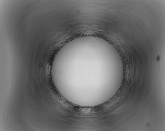 X0000095890230200801110836