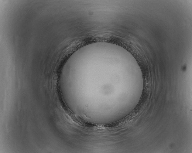X0000095890231200801110836