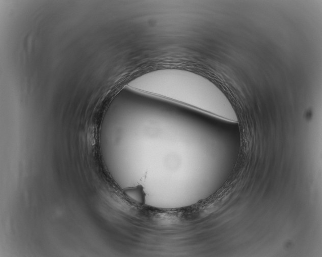 X0000095890232200801110836