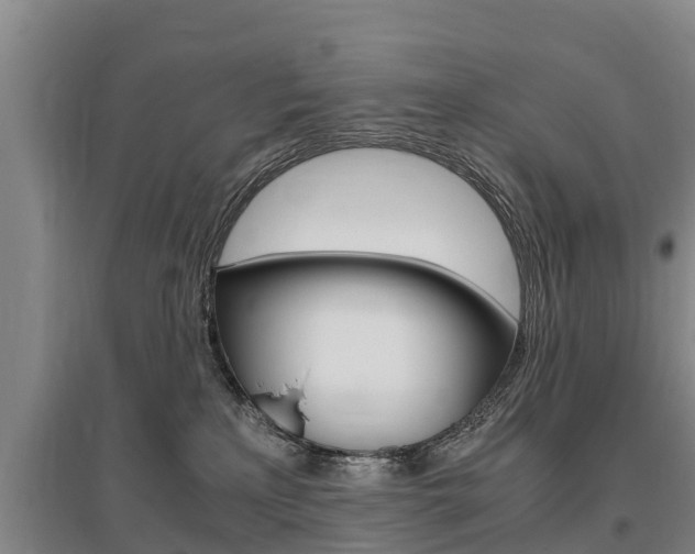 X0000095890233200801110836