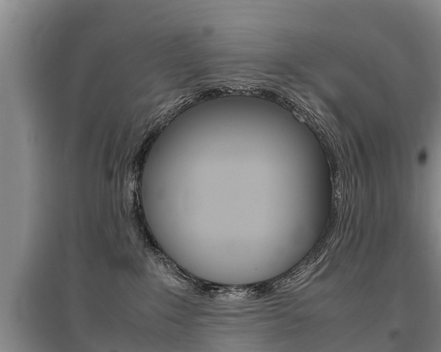 X0000095890235200801110836
