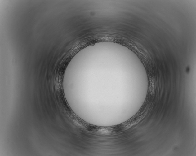 X0000095890236200801110836