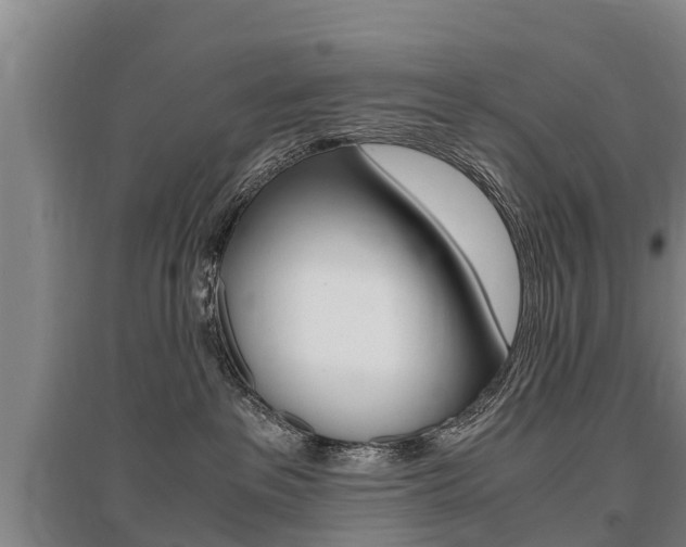 X0000095890237200801110836