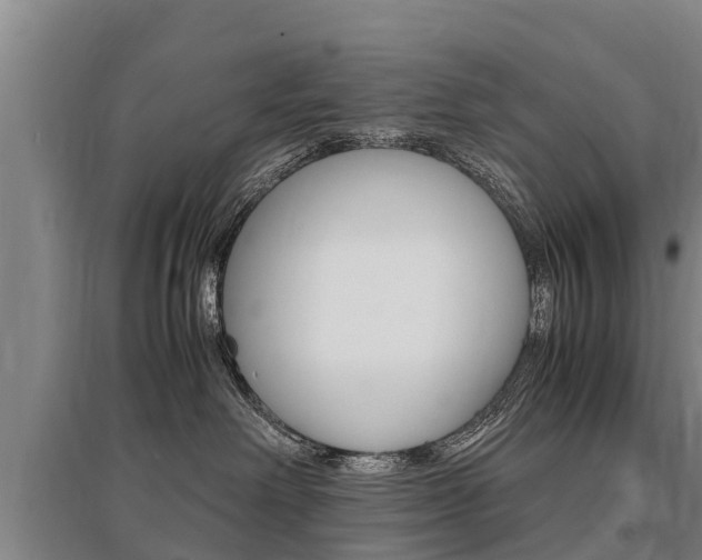 X0000095890238200801110836