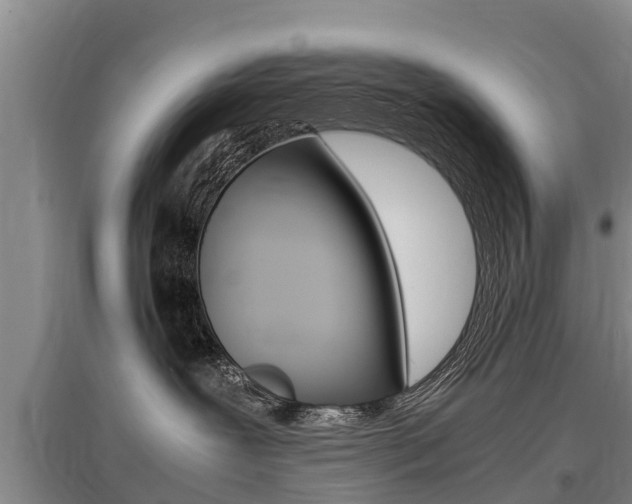 X0000095890239200801110836