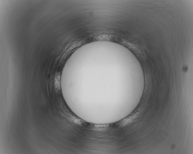 X0000095890240200801110836