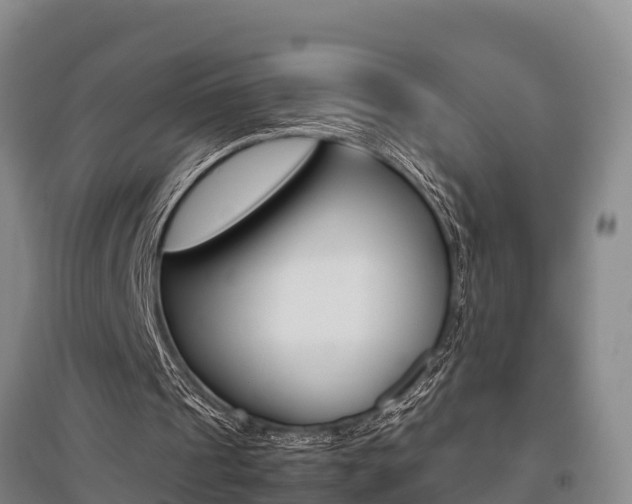 X0000095890241200801110835