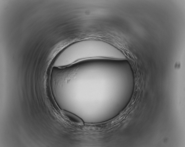 X0000095890242200801110835