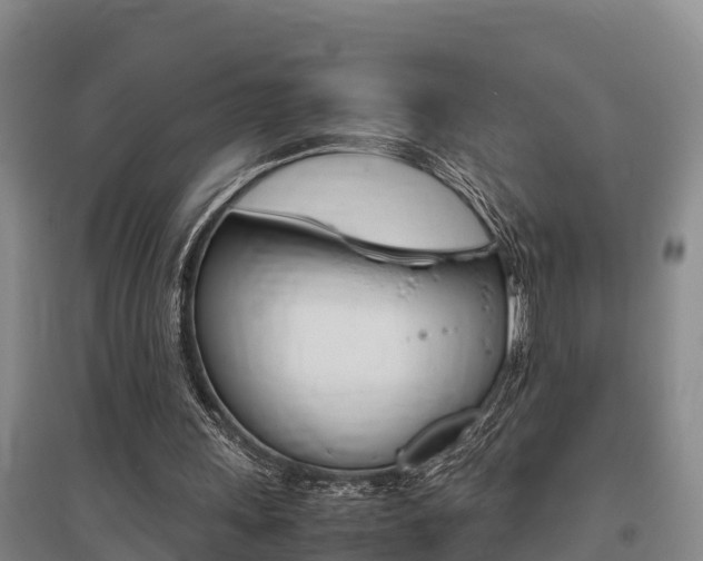 X0000095890243200801110835