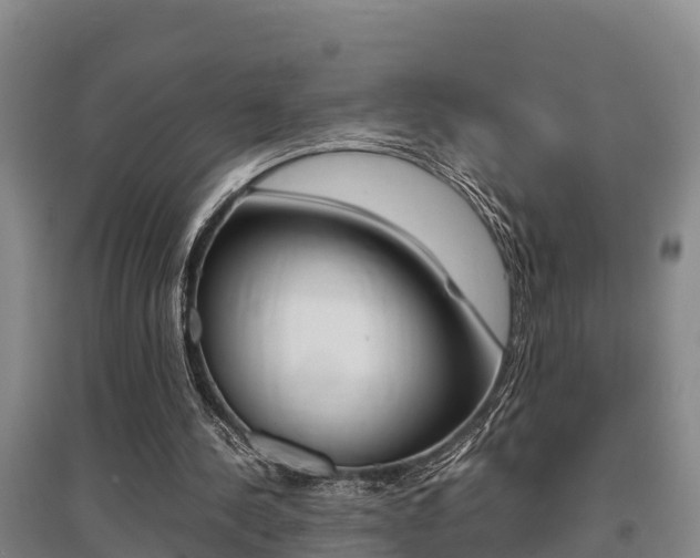 X0000095890244200801110835