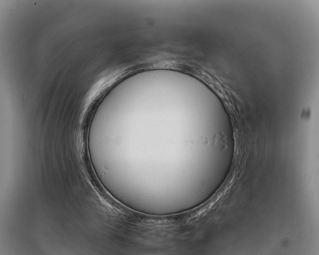 X0000095890245200801110835
