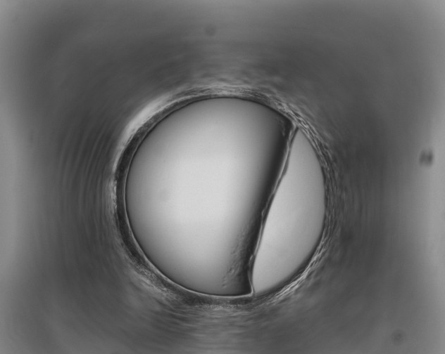 X0000095890246200801110835