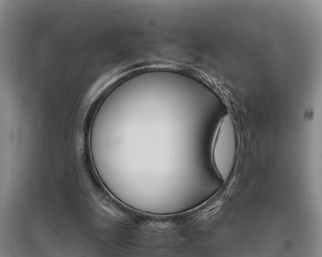 X0000095890247200801110835
