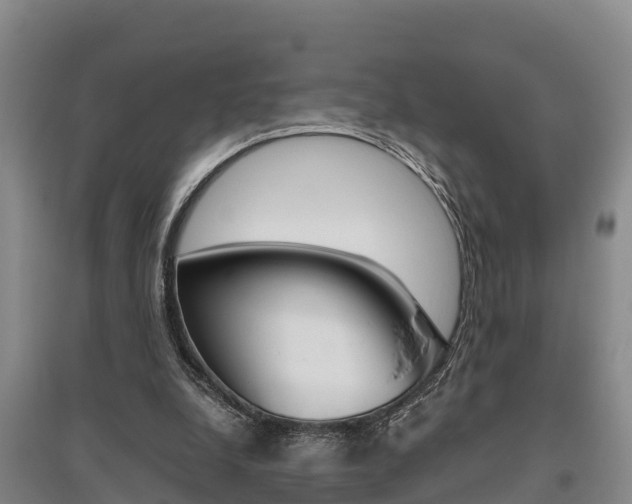 X0000095890248200801110835