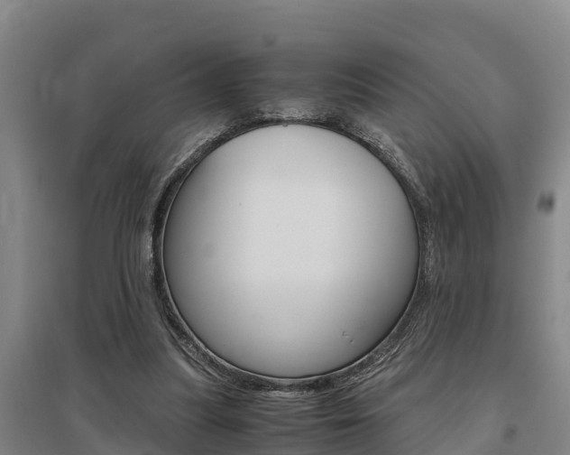 X0000095890251200801110835