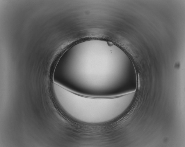 X0000095890252200801110835