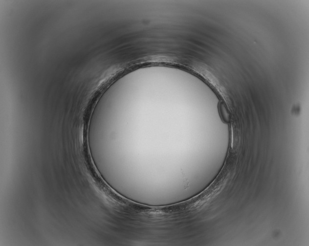 X0000095890253200801110835