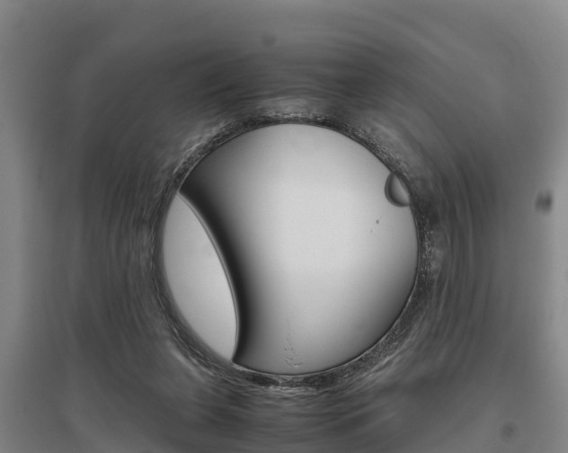 X0000095890255200801110835