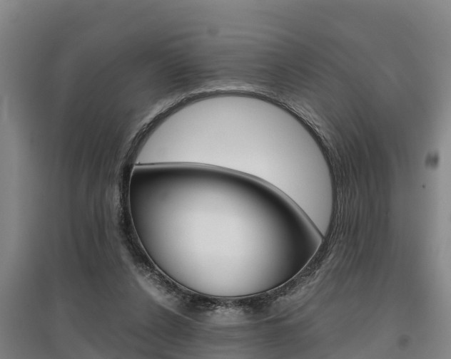 X0000095890256200801110835