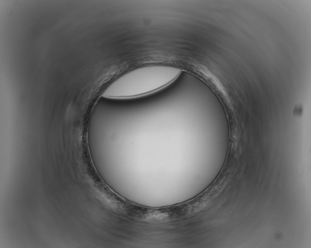 X0000095890257200801110835
