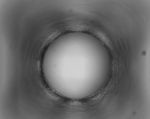 X0000095890258200801110835