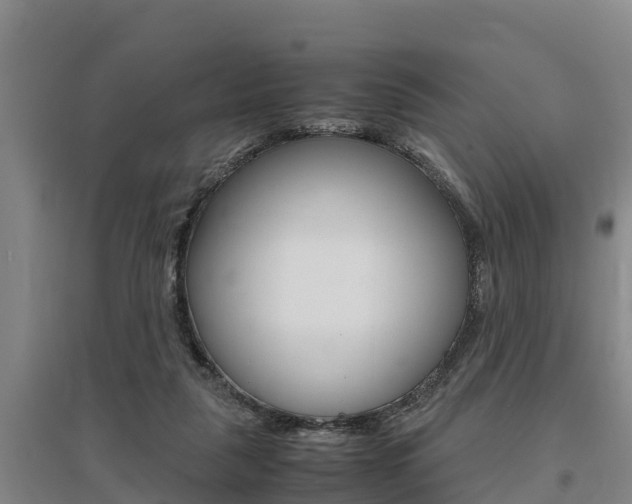 X0000095890259200801110835