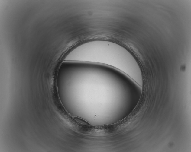 X0000095890260200801110835