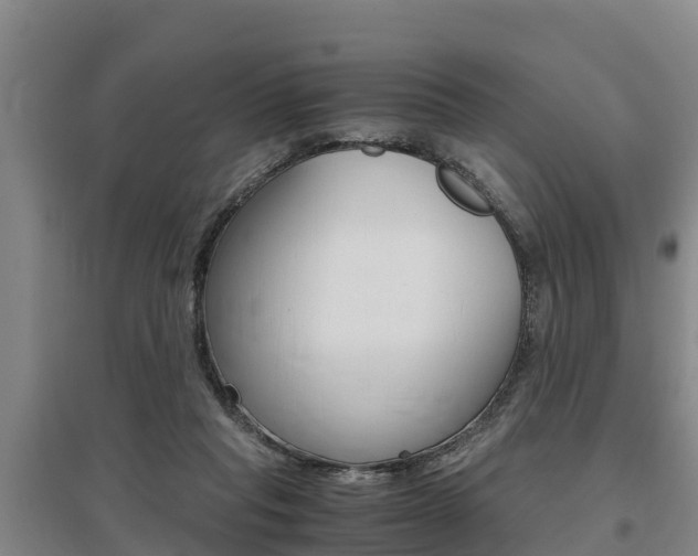 X0000095890261200801110835