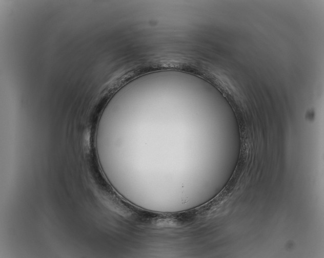 X0000095890262200801110835