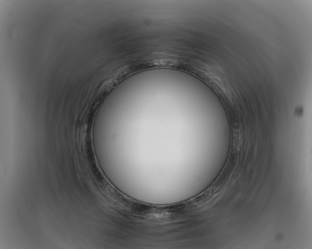 X0000095890263200801110835