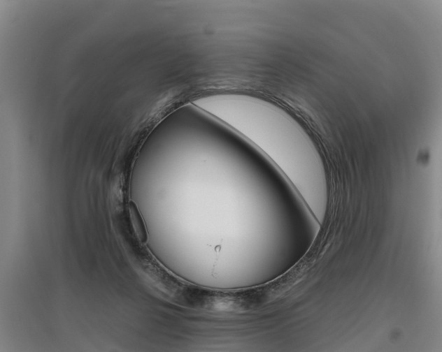 X0000095890264200801110835