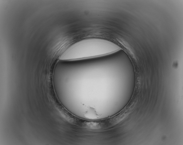 X0000095890265200801110835