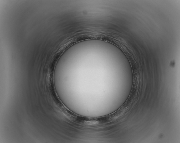 X0000095890266200801110835