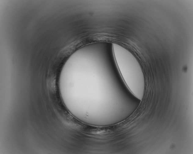X0000095890267200801110835